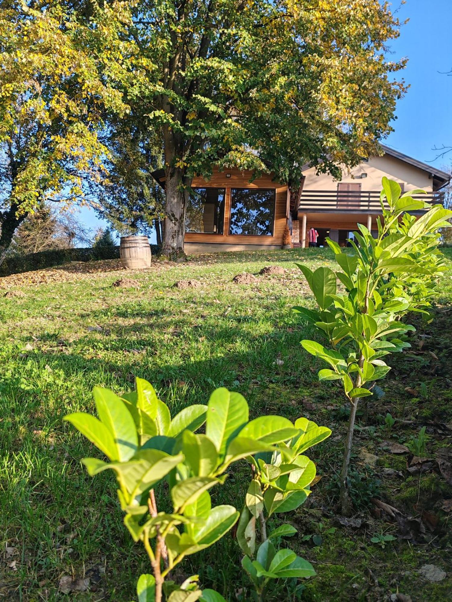 Holiday Home Vito Stubicka Slatina Exterior foto